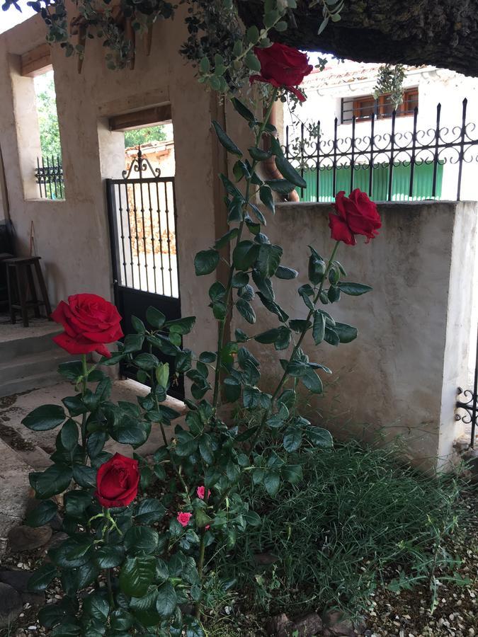 Pensjonat La Casa Del Cartero Pablo Saldana de Ayllon Zewnętrze zdjęcie